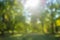 Blurred trees background with sunbeams