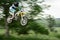 Blurred Trees Behind Jumping Dirt Biker