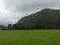 Blurred view of cows on green field, big mountain in rainy day with rain drops on windscreen