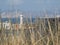 Blurred view of the lighthouse of Marseille with spikes in the focus