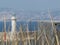 Blurred view of the lighthouse of Marseille with spikes in the focus