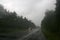 Blurred view: the road, the forest and the car in the pouring rain