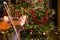 The blurred violin front of a Christmas tree with decoration and
