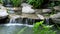 Blurred of waterfall, selective focus on small branches of tree.