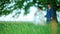 Blurred Wedding Couple Walk in the Forest