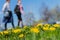 Blurred womens walking in park, spring season, green grass meadow, bright yellow young dandelions, copy space. Abstract