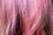 Blurry abstract background of colored hair. Colored hair of the girl