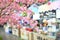 Blurry background of food Court with Sakura plant.