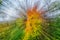 Blurry bright multi-color unfocused abstract nature autumn background