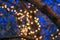 Blurry Closeup: London Eye\\\'s Orange Lights