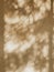 Blurry dense tree shadows in a sunny day on a brown wall. Natural abstract background, detailed texture.