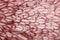 Blurry image background of red chicken feathers. Abstract birds background.