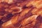 Blurry image background of red chicken feathers. Abstract birds background.