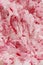 Blurry image of finely chopped radish.  Abstract food background, pink color.