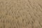 Blurry image of sand pattern. Abstract nature background.