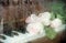 Blurry image through wet glass: pale pink roses are lying on piano keyboard.