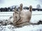 Blurry movement of rolling horse in snow