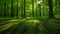 A blurry picture of a forest with trees and grass, AI