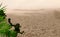 Blurry sand beach background with light and shadow,Sand of tropical beach, blurred palm leaves and cactus on sunny day Summer,