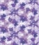 Blurry shibori tie dye abstract splash background. Seamless pattern on bleached resist white. Spring lilac pastel for irregular