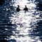 Blurry silhouette of a couple in the moonlight sea