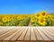 Blurry sunflower field background montage photo with wooden table top Product display background concept