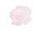 Blush pink rose logo design, simple and styled vector illustration