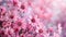 Blushing Bloom: A Stunning Pink Floral Backdrop - This title evokes the beauty and delicacy of the pink flowers while