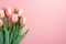 Blushing tulips on pink whisper of elegance, gentle grace in a soft-focus world. Copy space