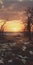 Blustery Scenery: Photorealistic Sunrise Over Dunes With Prairiecore Aesthetics