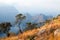 Blyde River Canyon, two green trees, blue lake and mountains in the clouds in sunset light background, South Africa