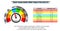 Bmi index scale classification or body mass index chart information concept.   eps 10 vector