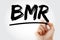 BMR - Basal Metabolic Rate acronym