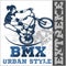 BMX rider - urban team. Vector design