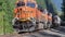 BNSF intermodal freight train passing Cascade Range forest