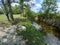 Bo laying by the Sunny creek and swimming hole