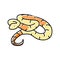 boa constrictor animal snake color icon vector illustration