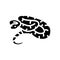 boa constrictor animal snake glyph icon vector illustration