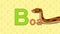Boa. English ZOO Alphabet - letter B