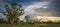 Boab Tree and Stormy Sky in the Kimberley