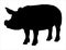 Boar silhouette vector art white background