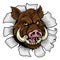 Boar Wild Hog Razorback Warthog Pig Sports Mascot