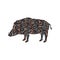 Boar wildlife color silhouette animal