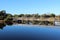 Board walk over the wetlands at Big Swamp Bunbury Western Australia in late winter.