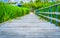 Board walk surrounded with grass and side fence