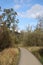 Boarded raised footpath in countryside among trees