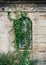 Boarded-up window overgrown