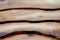 Boards with a clear texture and swirls closeup. Wood texture_