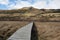 Boardwalk across swampland