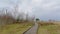 Boardwalk along fields and ofrests of Paljasaare peninsula near Tallinn